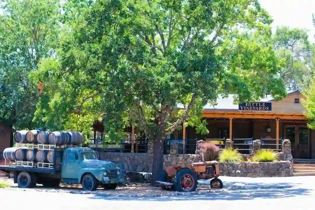 Guests enjoying wine tasting on the music-themed patio at Little Vineyards Winery in Glen Ellen