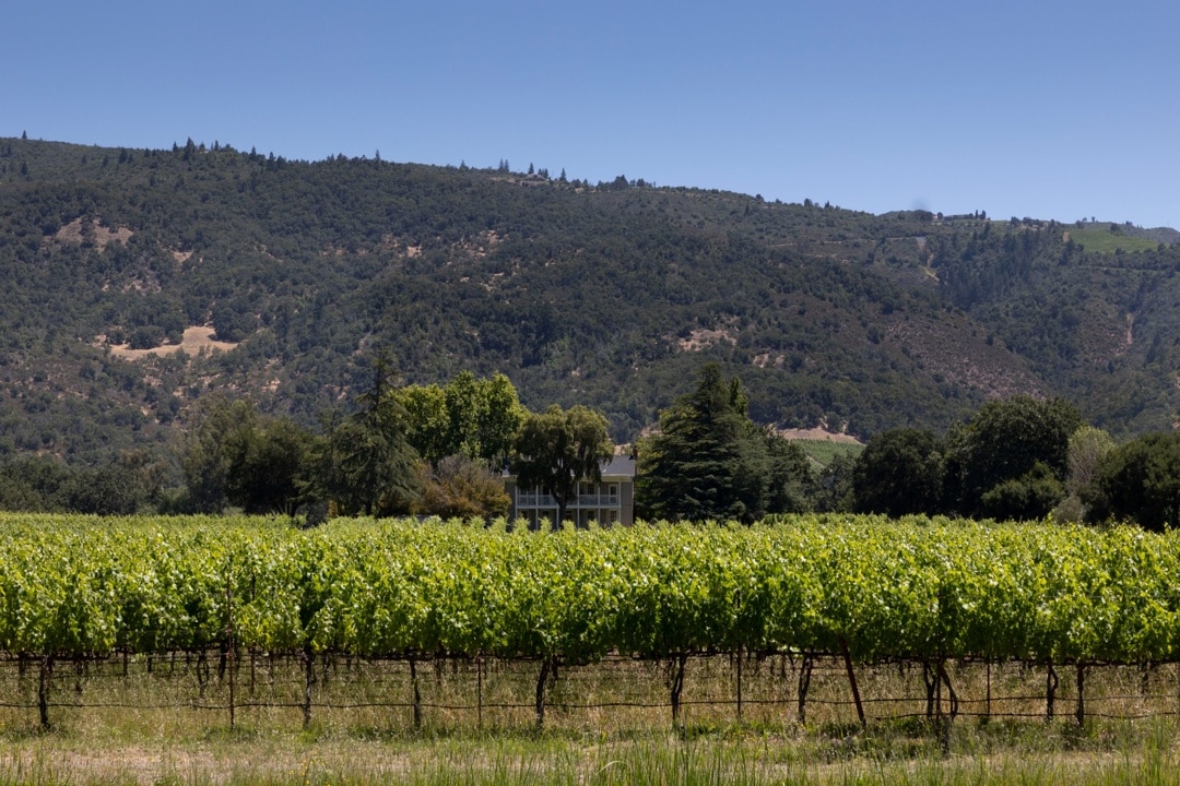 Spring wine vimes with country house and mountains in the distance